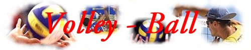 2002_Volley.jpg (18307 octets)