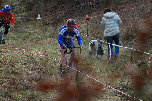 CHEVILLY 2010/Chevilly2010_0064.JPG