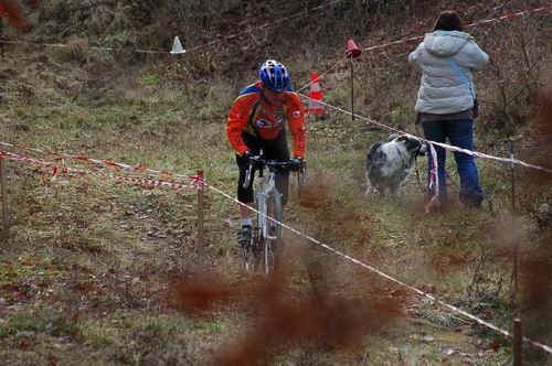 CHEVILLY 2010/Chevilly2010_0065.JPG