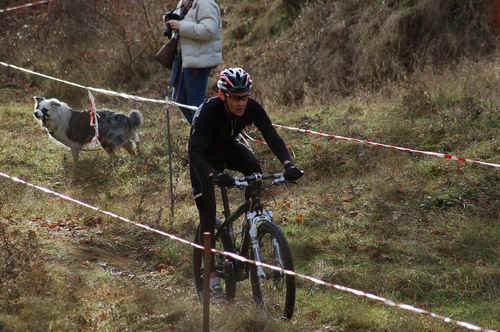 CHEVILLY 2010/Chevilly2010_0070.JPG