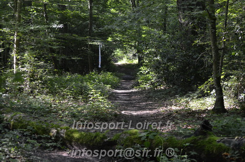 Course_des_3_Noues_2024/NOUES2024_02982.JPG