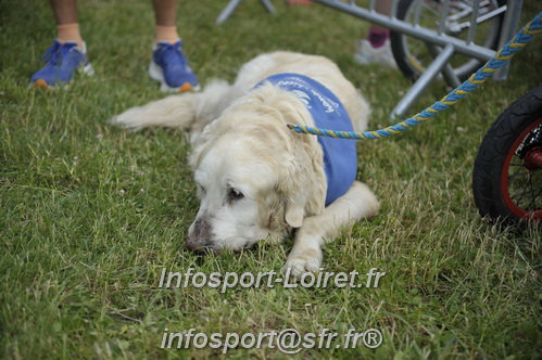 Foulees_Abraysiennes2025/FA2025_03633.JPG
