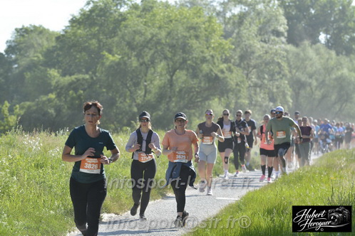 Foulees_Orleans2026/ORLEANSF2026_02896.JPG