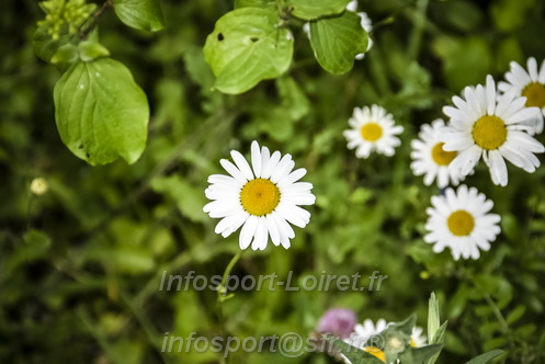 Foulees_de_Arche2026/ARCHE2026_02672.JPG