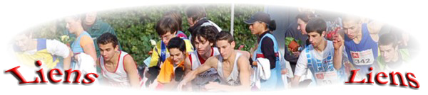 liens.jpg (33099 octets)