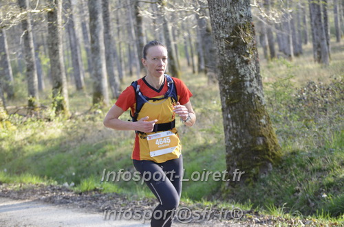 Marathon_Cheverny2025_Dimanche/2025CHEVERNY_000176.JPG