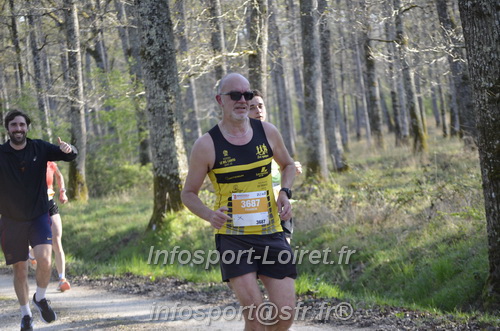 Marathon_Cheverny2025_Dimanche/2025CHEVERNY_000242.JPG