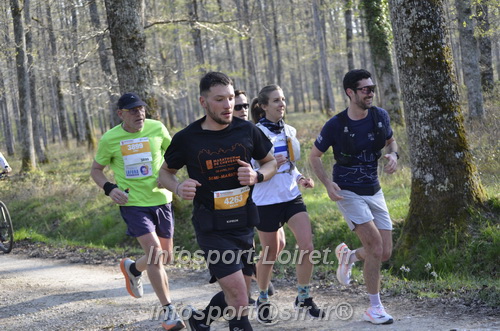 Marathon_Cheverny2025_Dimanche/2025CHEVERNY_000318.JPG