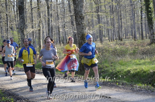 Marathon_Cheverny2025_Dimanche/2025CHEVERNY_000440.JPG
