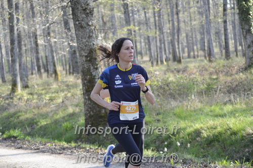 Marathon_Cheverny2025_Dimanche/2025CHEVERNY_000460.JPG