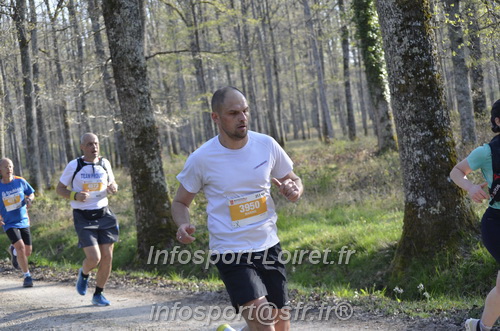 Marathon_Cheverny2025_Dimanche/2025CHEVERNY_000579.JPG