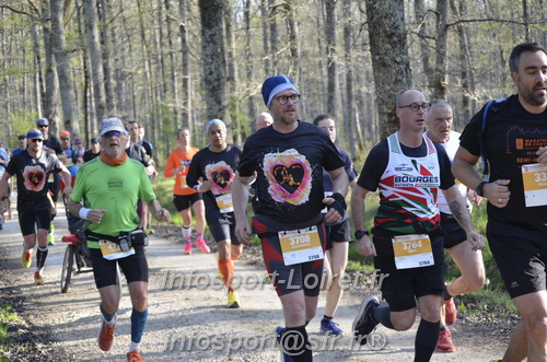 Marathon_Cheverny2025_Dimanche/2025CHEVERNY_000678.JPG