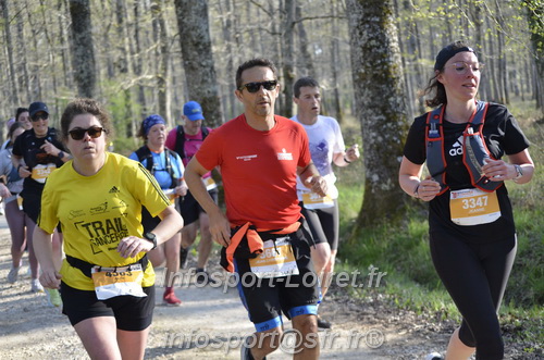 Marathon_Cheverny2025_Dimanche/2025CHEVERNY_000733.JPG