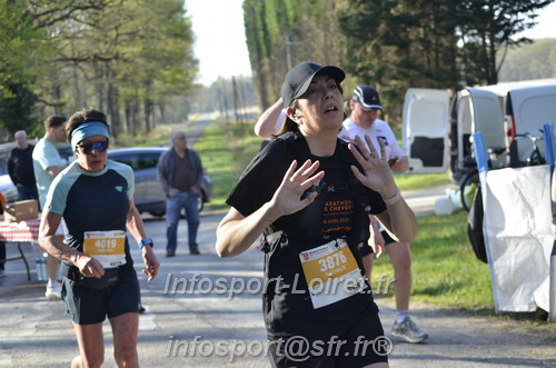Marathon_Cheverny2025_Dimanche/2025CHEVERNY_000909.JPG