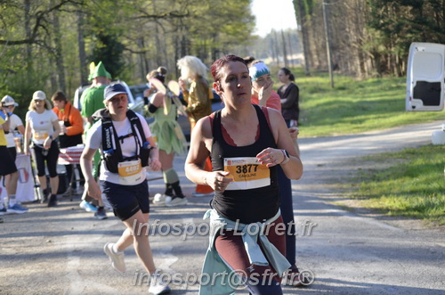 Marathon_Cheverny2025_Dimanche/2025CHEVERNY_000957.JPG