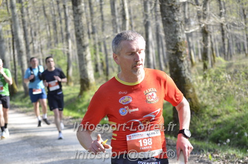 Marathon_Cheverny2025_Dimanche/2025CHEVERNY_001330.JPG