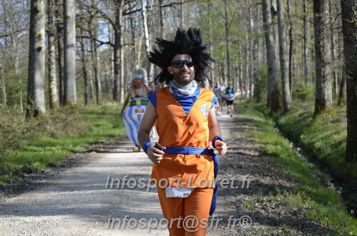 Marathon_Cheverny2025_Dimanche/2025CHEVERNY_001815.JPG