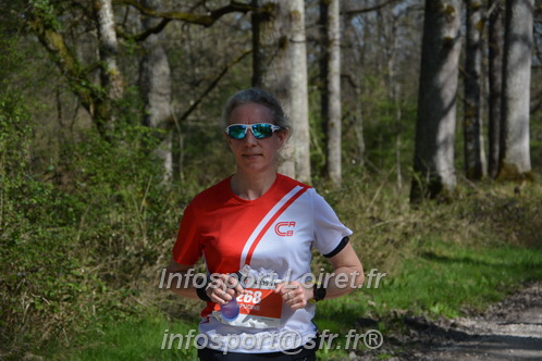 Marathon_Cheverny2025_Dimanche/2025CHEVERNY_002084.JPG
