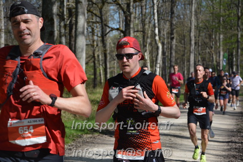Marathon_Cheverny2025_Dimanche/2025CHEVERNY_002308.JPG