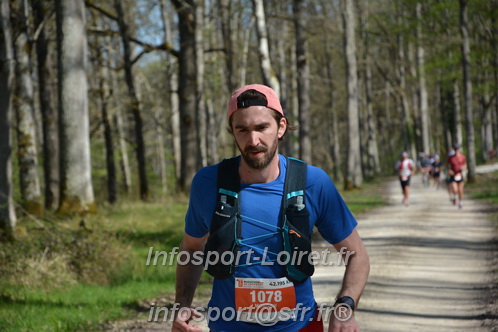 Marathon_Cheverny2025_Dimanche/2025CHEVERNY_002388.JPG
