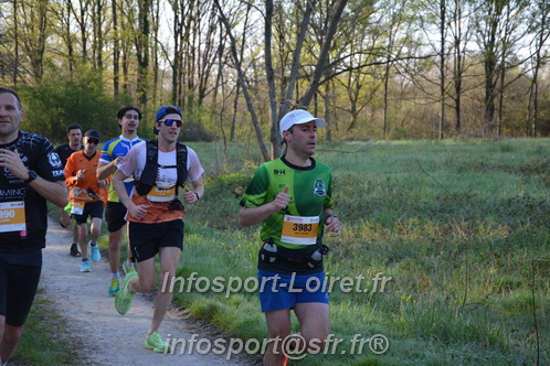 Marathon_Cheverny2025_Dimanche/2025CHEVERNY_002407.JPG