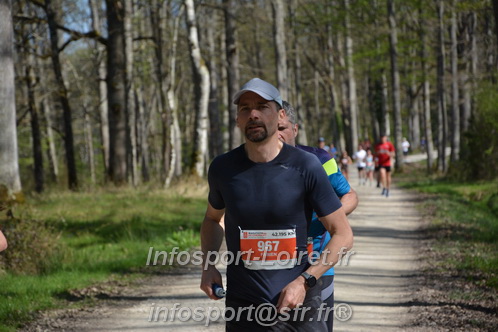 Marathon_Cheverny2025_Dimanche/2025CHEVERNY_002436.JPG