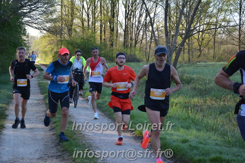 Marathon_Cheverny2025_Dimanche/2025CHEVERNY_002501.JPG
