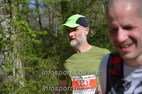 Marathon_Cheverny2025_Dimanche/2025CHEVERNY_002632.JPG