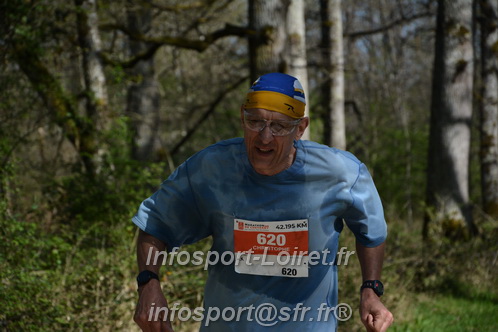Marathon_Cheverny2025_Dimanche/2025CHEVERNY_002772.JPG