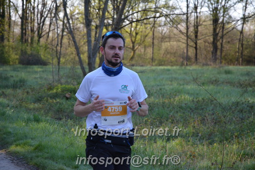 Marathon_Cheverny2025_Dimanche/2025CHEVERNY_002775.JPG