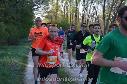 Marathon_Cheverny2025_Dimanche/2025CHEVERNY_002909.JPG