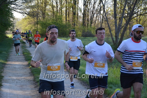 Marathon_Cheverny2025_Dimanche/2025CHEVERNY_003137.JPG