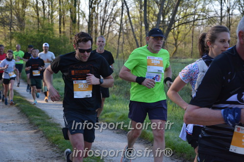 Marathon_Cheverny2025_Dimanche/2025CHEVERNY_003235.JPG