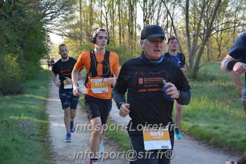 Marathon_Cheverny2025_Dimanche/2025CHEVERNY_003382.JPG