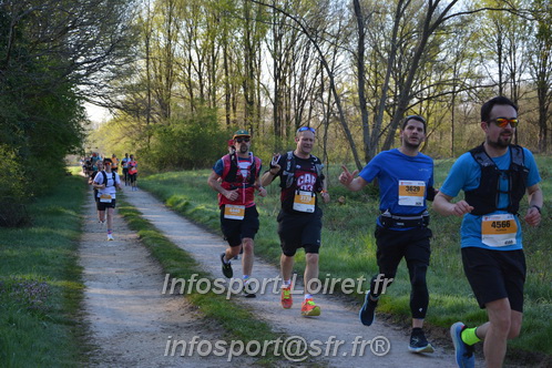 Marathon_Cheverny2025_Dimanche/2025CHEVERNY_003519.JPG