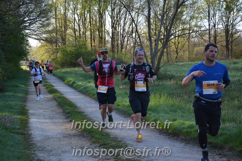 Marathon_Cheverny2025_Dimanche/2025CHEVERNY_003520.JPG