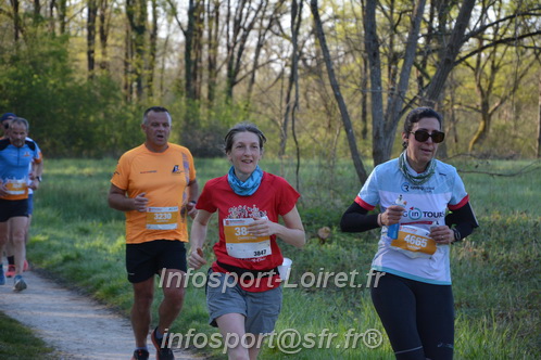 Marathon_Cheverny2025_Dimanche/2025CHEVERNY_003531.JPG