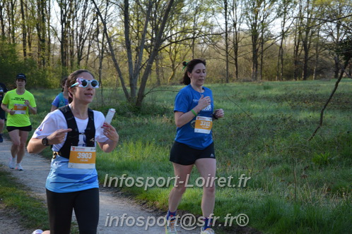 Marathon_Cheverny2025_Dimanche/2025CHEVERNY_003574.JPG