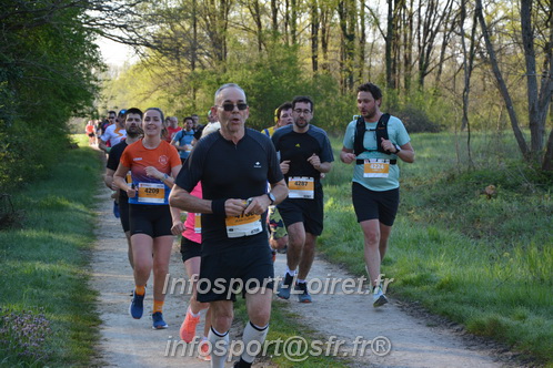 Marathon_Cheverny2025_Dimanche/2025CHEVERNY_003587.JPG