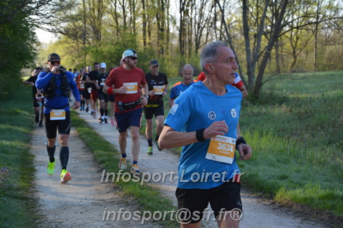Marathon_Cheverny2025_Dimanche/2025CHEVERNY_003615.JPG