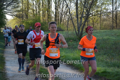 Marathon_Cheverny2025_Dimanche/2025CHEVERNY_003648.JPG