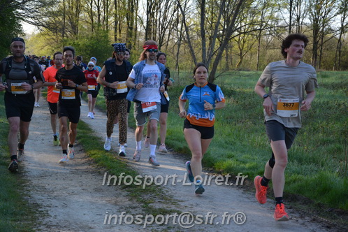 Marathon_Cheverny2025_Dimanche/2025CHEVERNY_003713.JPG