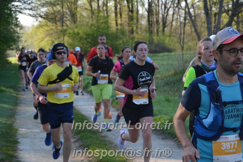 Marathon_Cheverny2025_Dimanche/2025CHEVERNY_003769.JPG