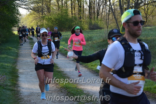 Marathon_Cheverny2025_Dimanche/2025CHEVERNY_003785.JPG