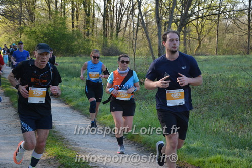 Marathon_Cheverny2025_Dimanche/2025CHEVERNY_003853.JPG