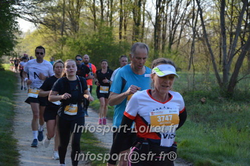 Marathon_Cheverny2025_Dimanche/2025CHEVERNY_003884.JPG