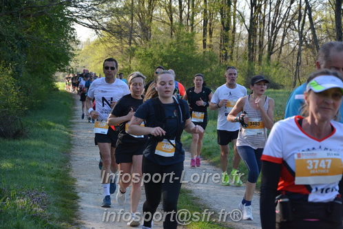 Marathon_Cheverny2025_Dimanche/2025CHEVERNY_003885.JPG