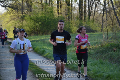 Marathon_Cheverny2025_Dimanche/2025CHEVERNY_004088.JPG