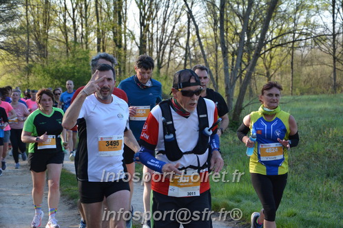 Marathon_Cheverny2025_Dimanche/2025CHEVERNY_004131.JPG