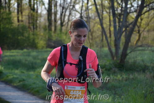 Marathon_Cheverny2025_Dimanche/2025CHEVERNY_004236.JPG